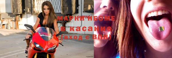 стаф Дмитровск