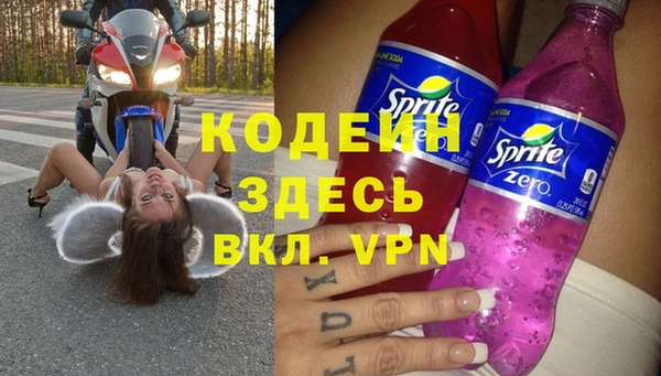 стаф Дмитровск