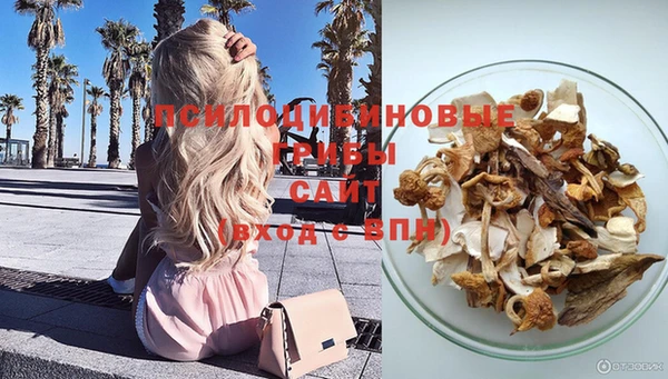 стаф Дмитровск