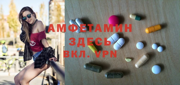 стаф Дмитровск