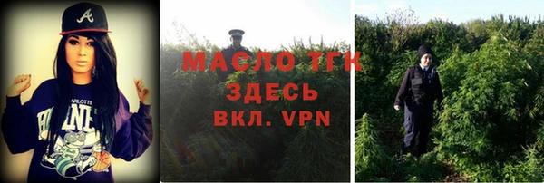 стаф Дмитровск