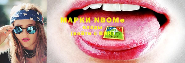 стаф Дмитровск